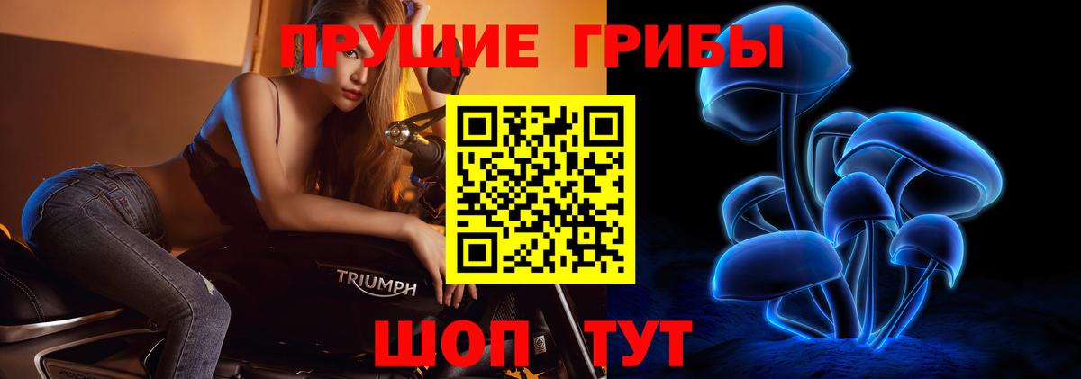 Псилоцибиновые грибы прущие грибы  Вход с VPN  Псилоцибиновые грибы GOLDEN TEACHER  Усолье-Сибирское 